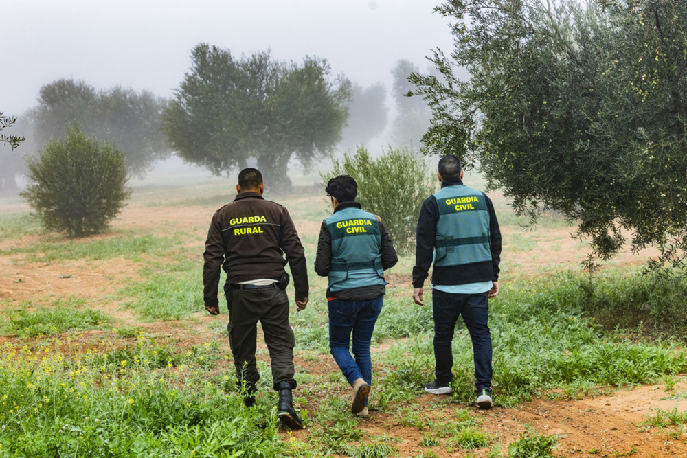 La Guardia Civil activa su plan para evitar robos en el olivar