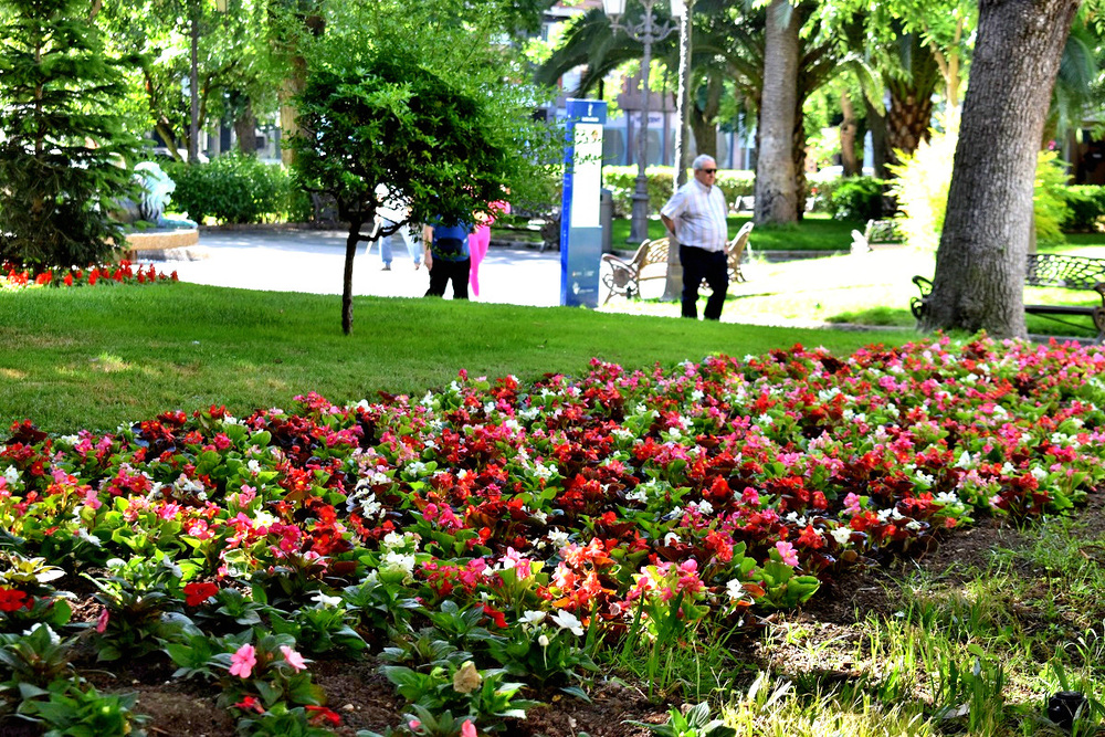 Un verano florido en Puertollano