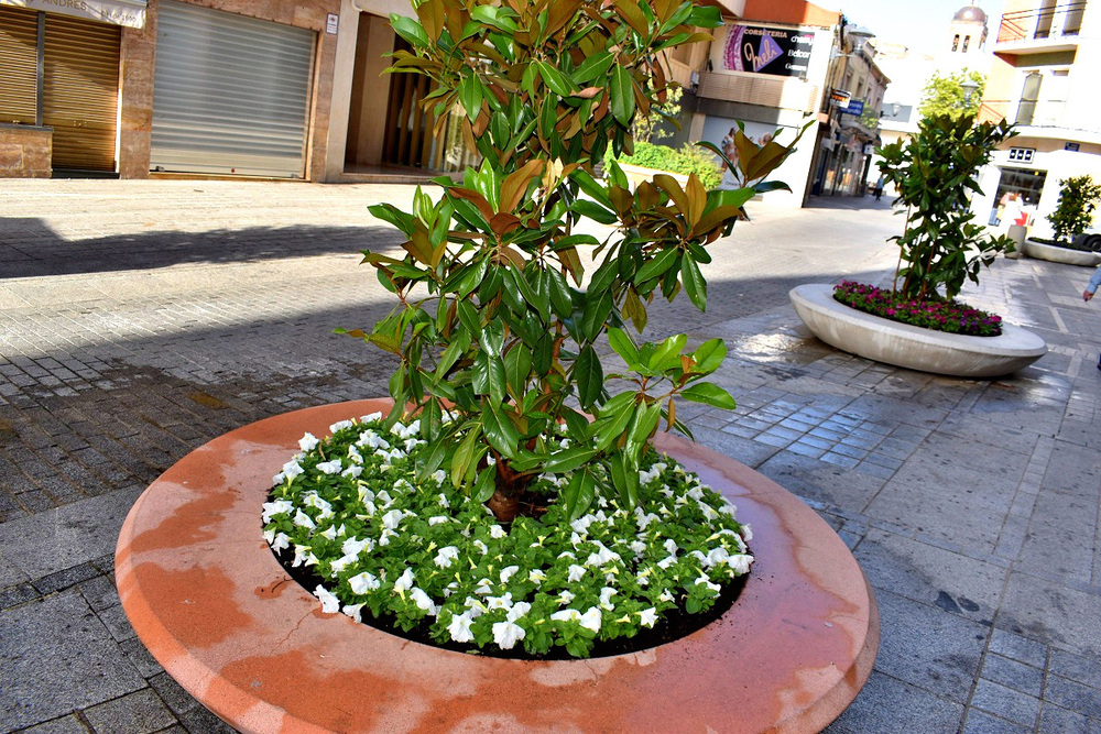 Un verano florido en Puertollano