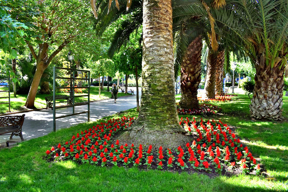 Un verano florido en Puertollano