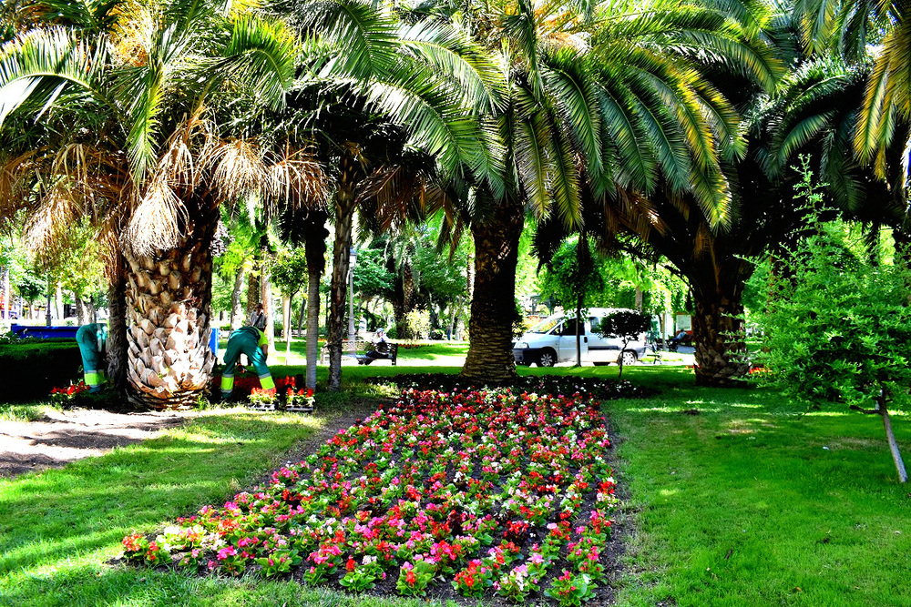 Un verano florido en Puertollano