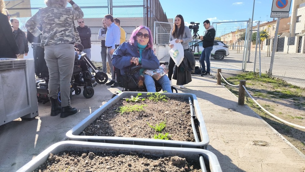 10 huertos urbanos accesibles para la calle Sol