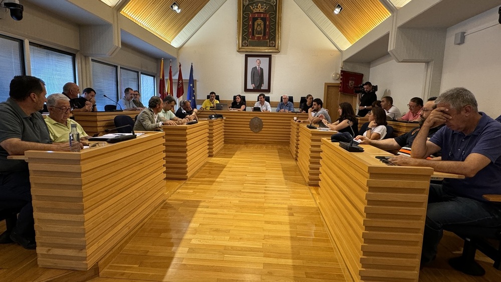 Junta Local de Seguridad del Ayuntamiento de Ciudad Real