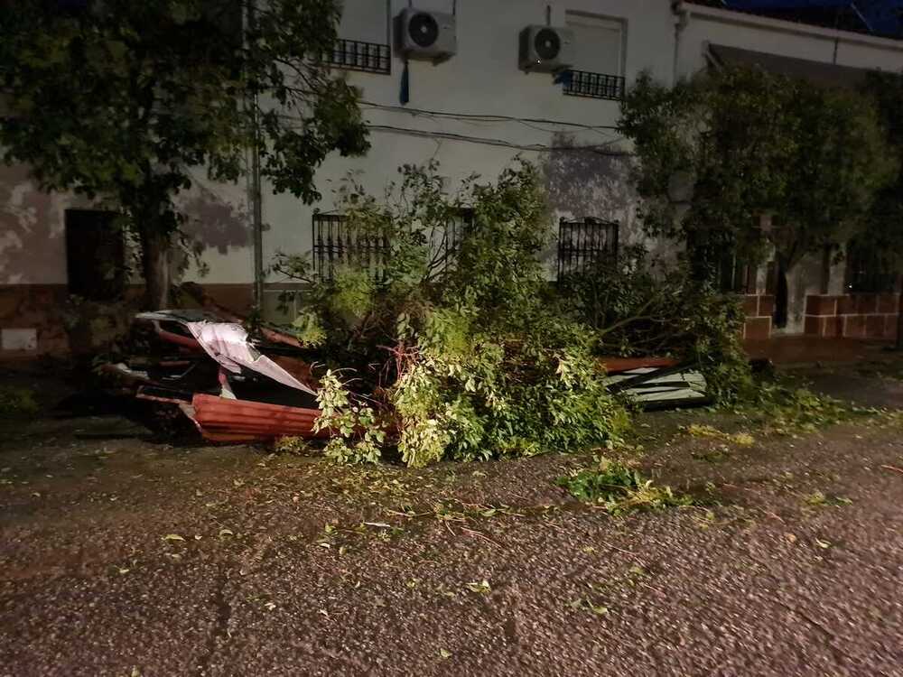 Alamillo evalúa los daños tras el paso de un tornado