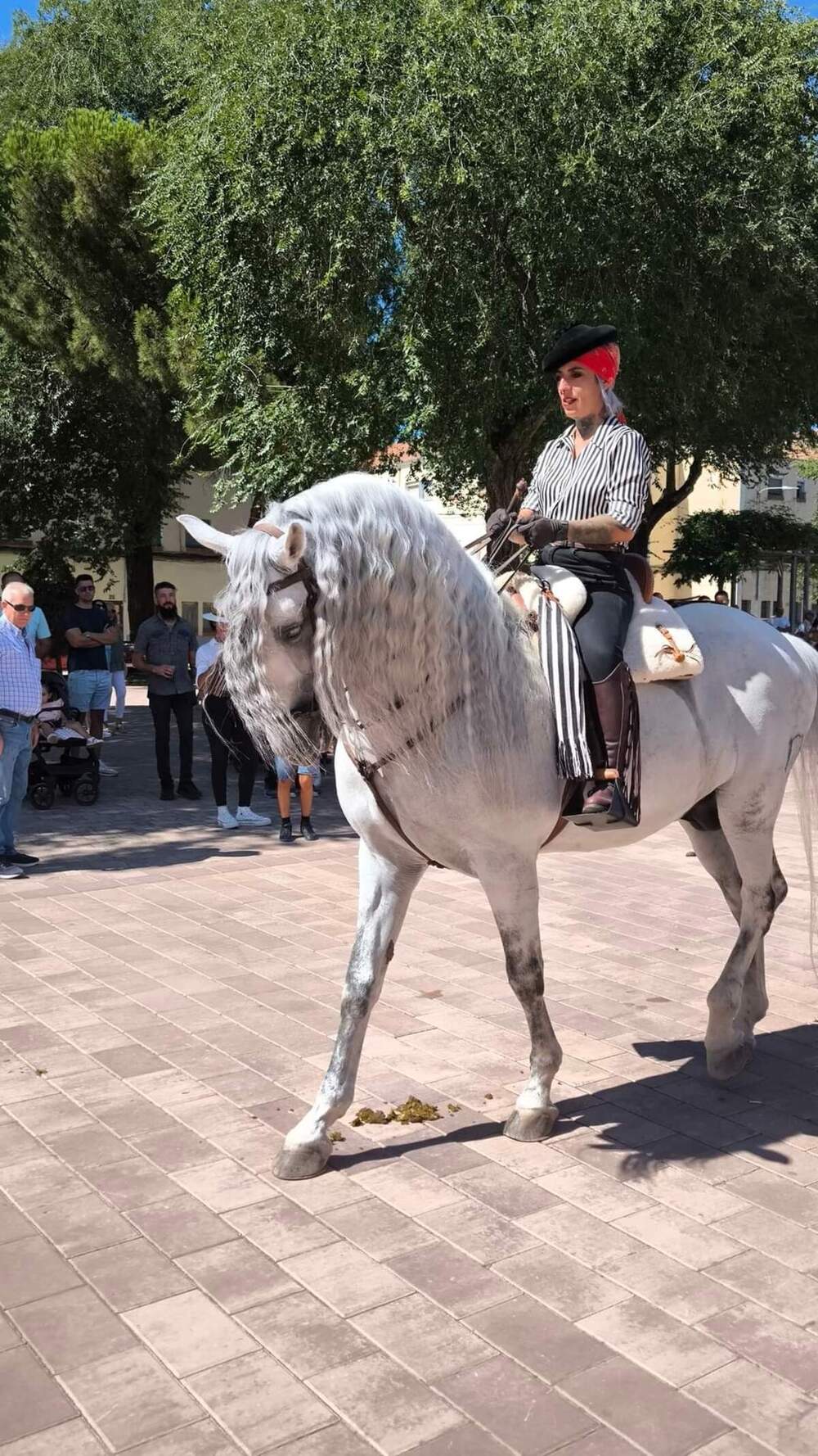 Ciudad Real cumple con la tradición ecuestre de su pasacalles