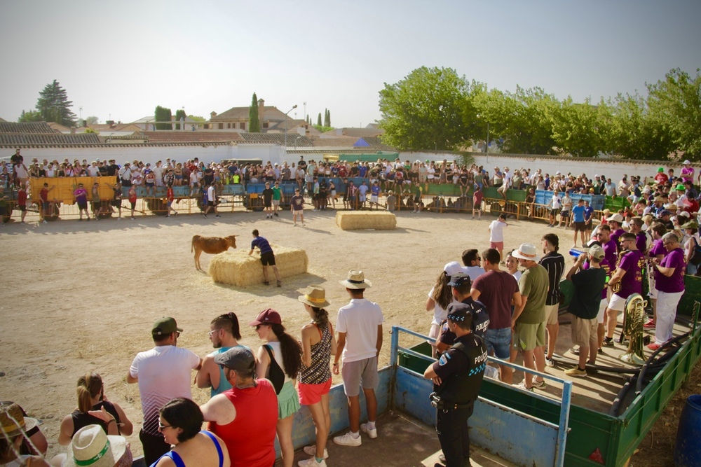 Fiestas en Honor a San Lorenzo en Alameda de Cervera