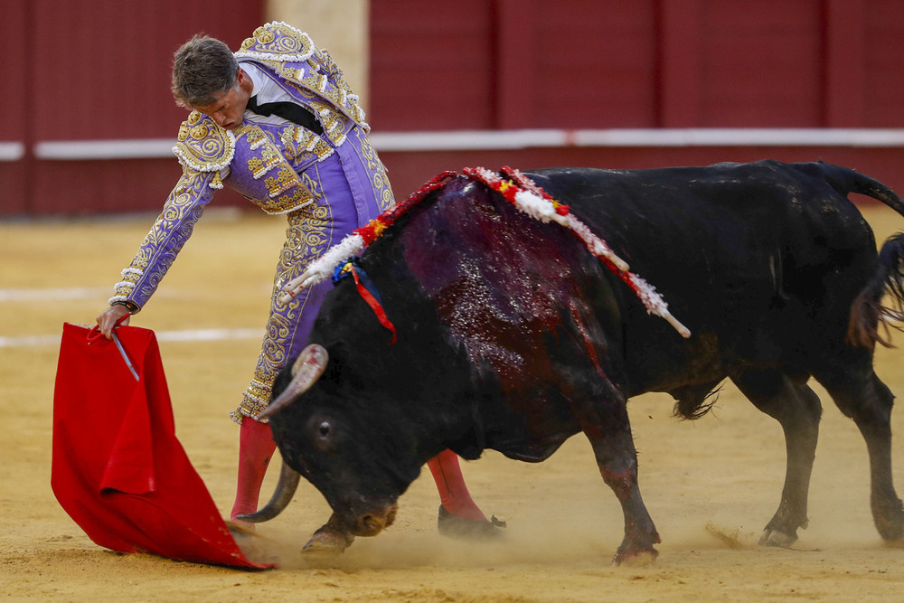 El diestro Manuel Escribano