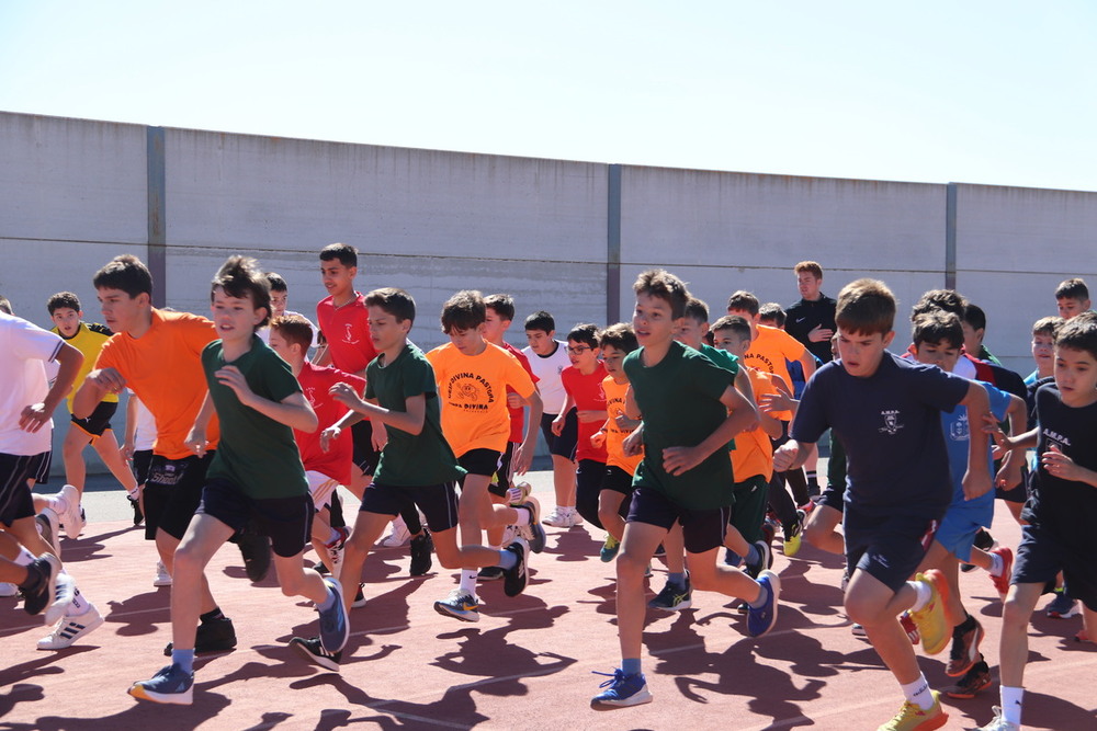 Más de mil niños participan este año en las Olimpiadas