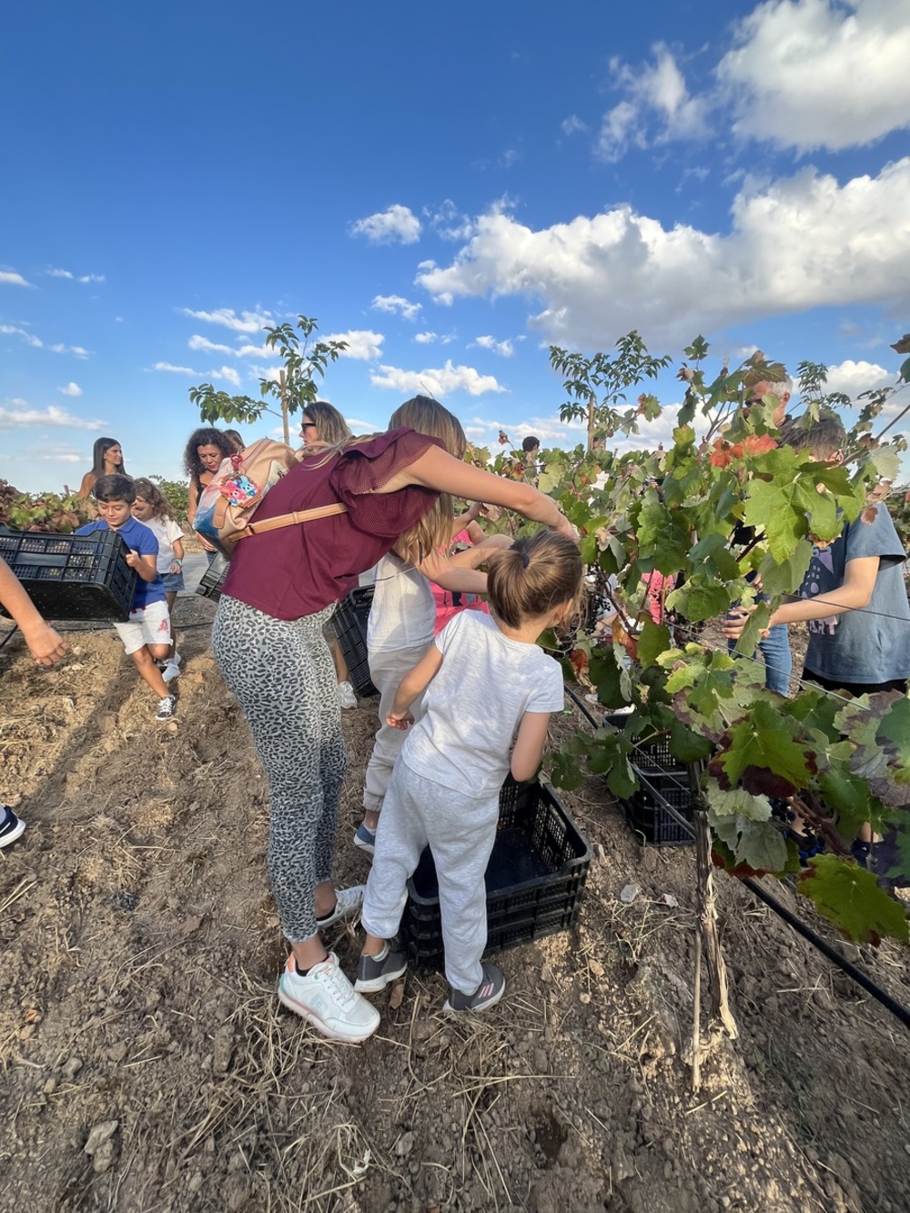 Bodegas Reconquista disfruta de su I Fiesta de la Vendimia