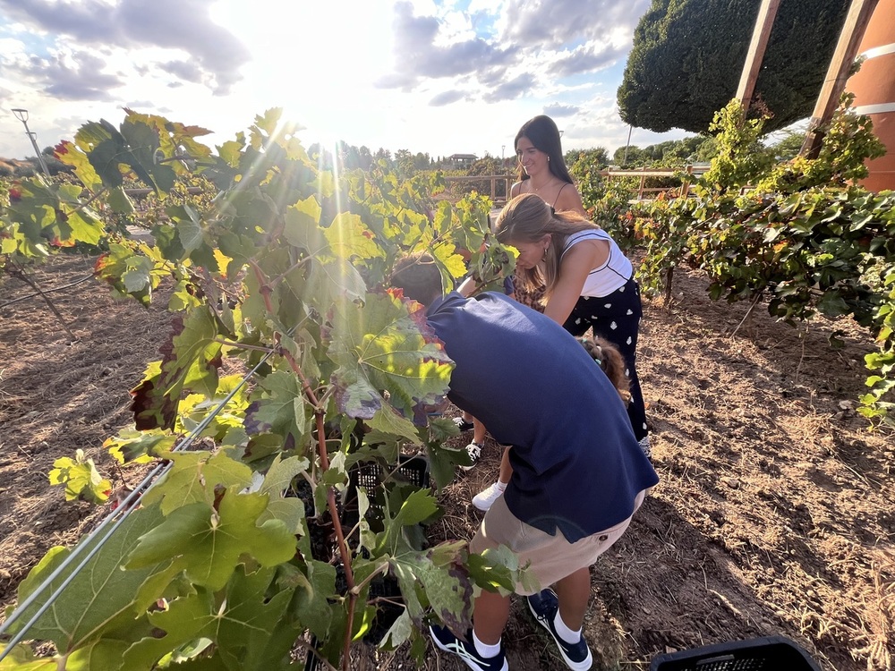 Bodegas Reconquista disfruta de su I Fiesta de la Vendimia