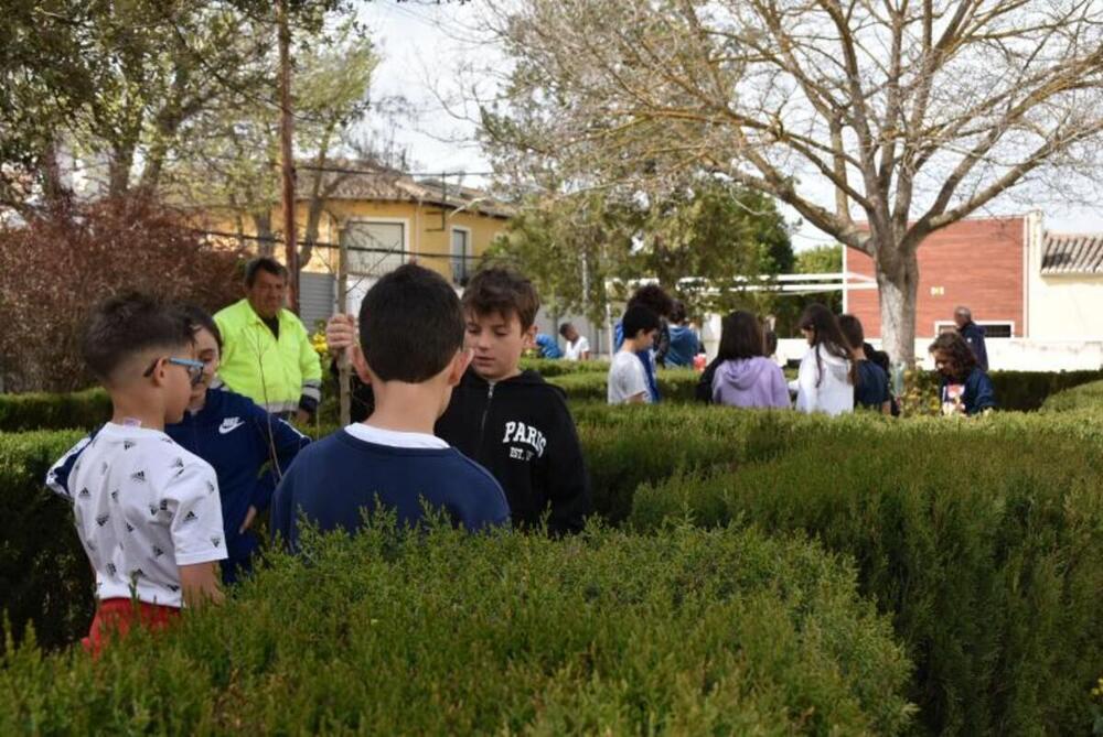 Daimiel celebra el Día de los Bosques plantando 