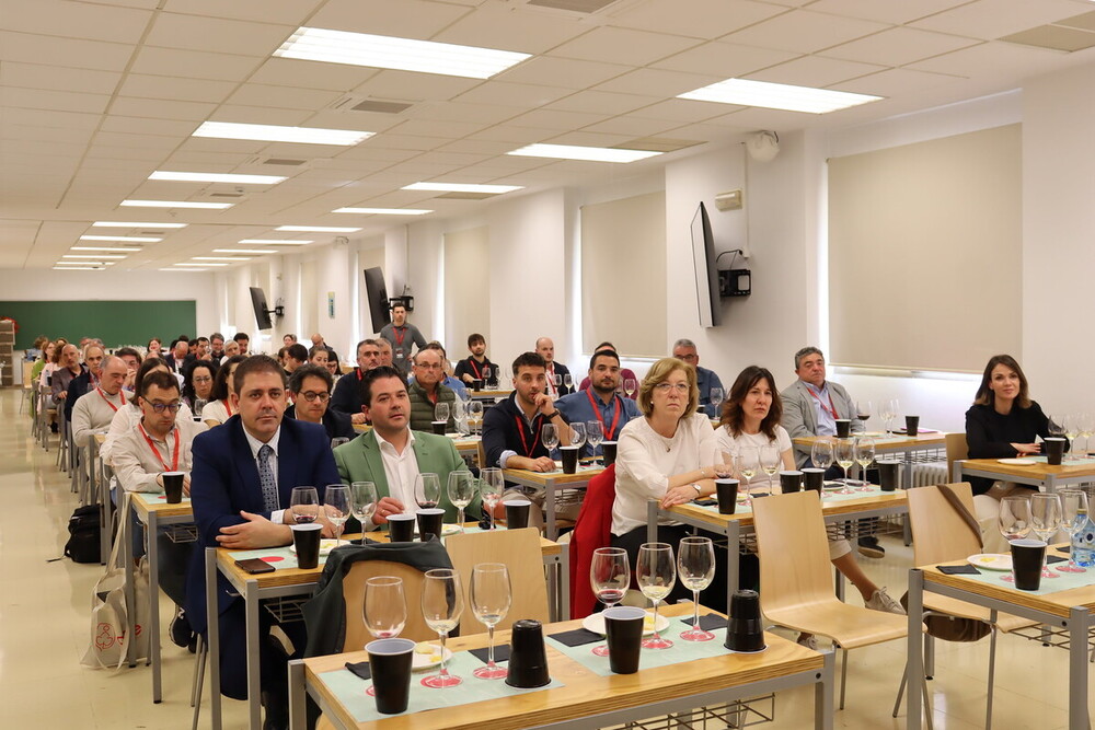 La Junta financia 388 proyectos de modernización del vino