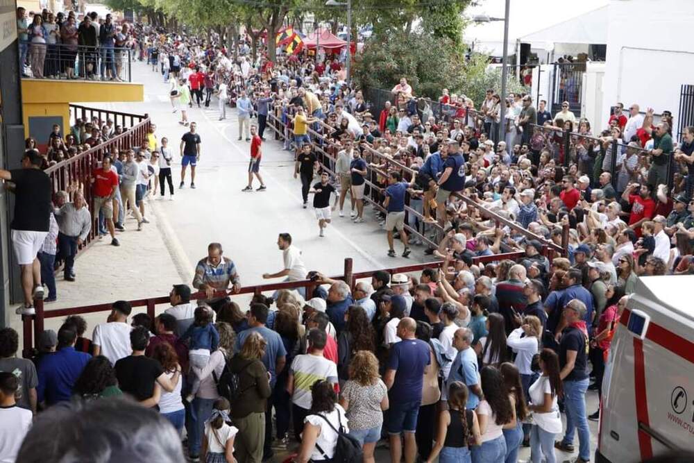 Herido por asta de toro en los encierros de Almodóvar