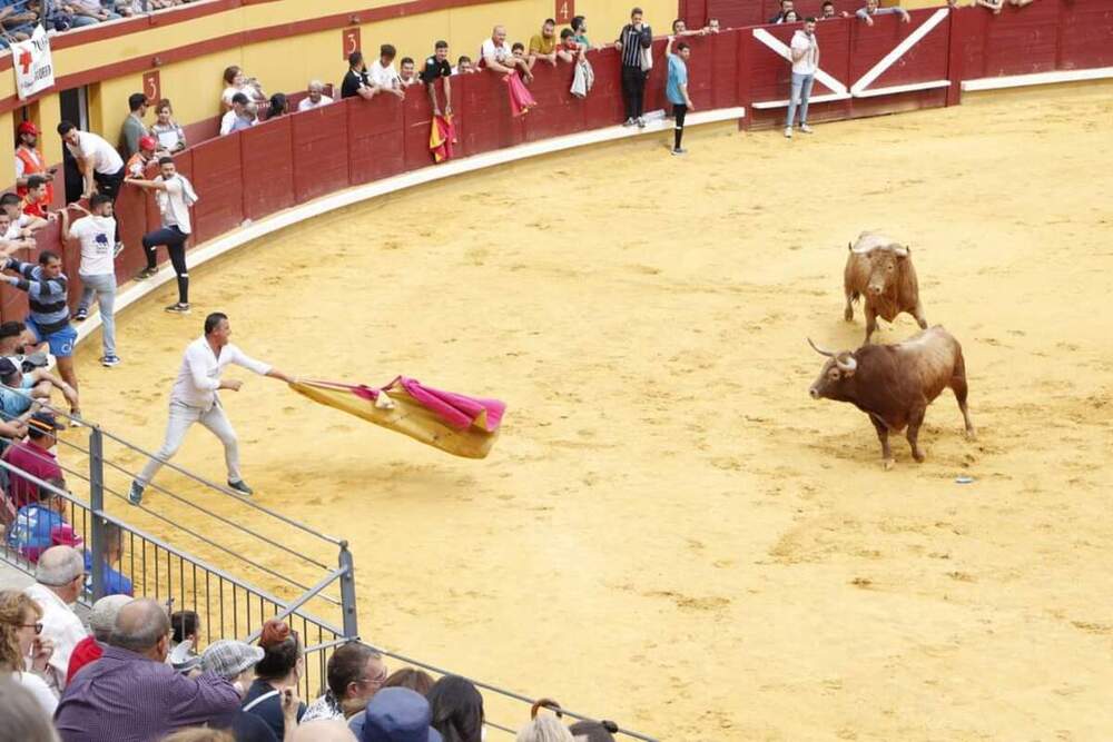 Herido por asta de toro en los encierros de Almodóvar