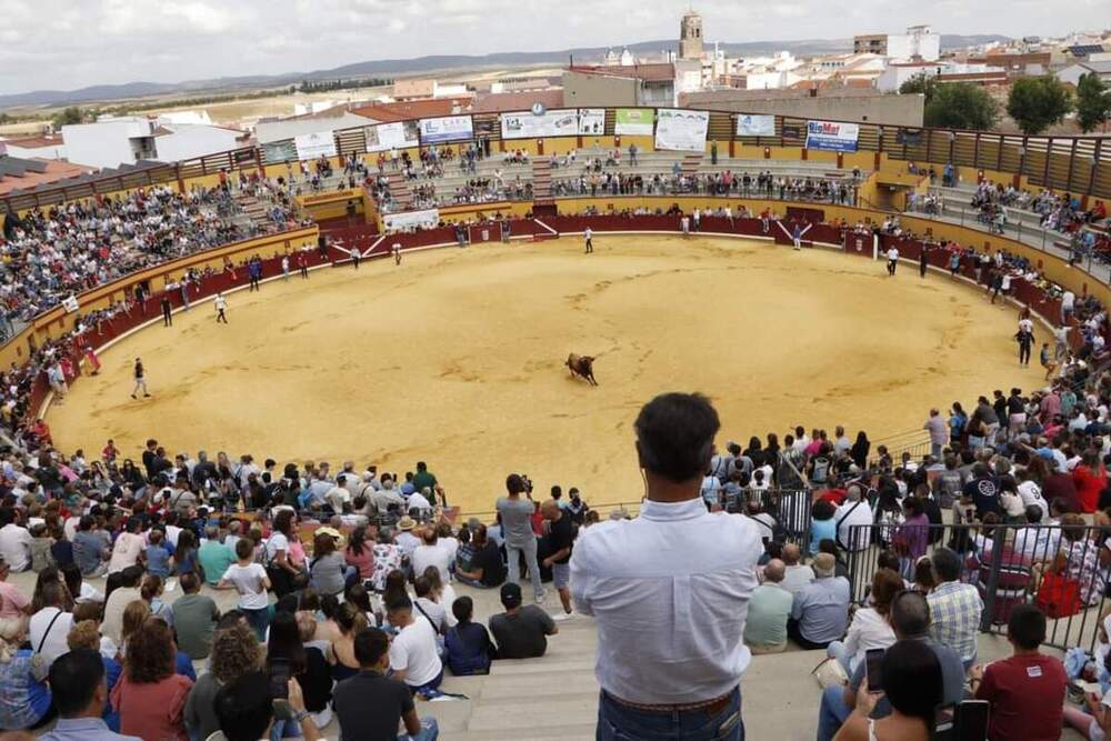 Herido por asta de toro en los encierros de Almodóvar