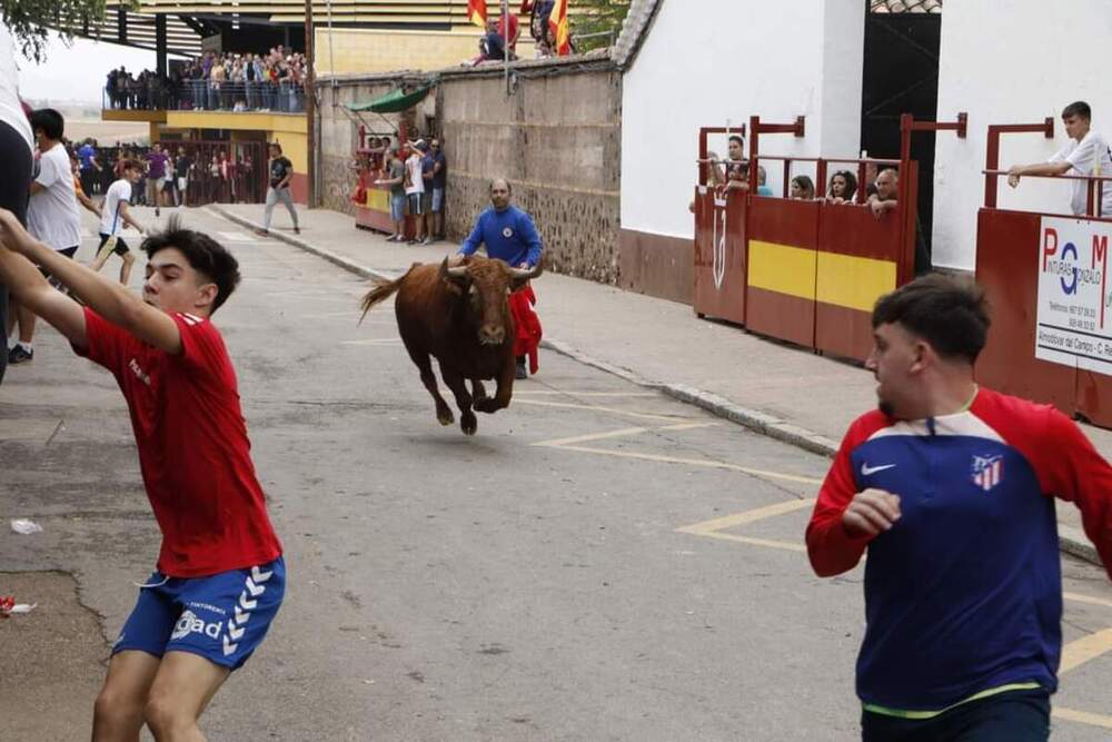 Herido por asta de toro en los encierros de Almodóvar