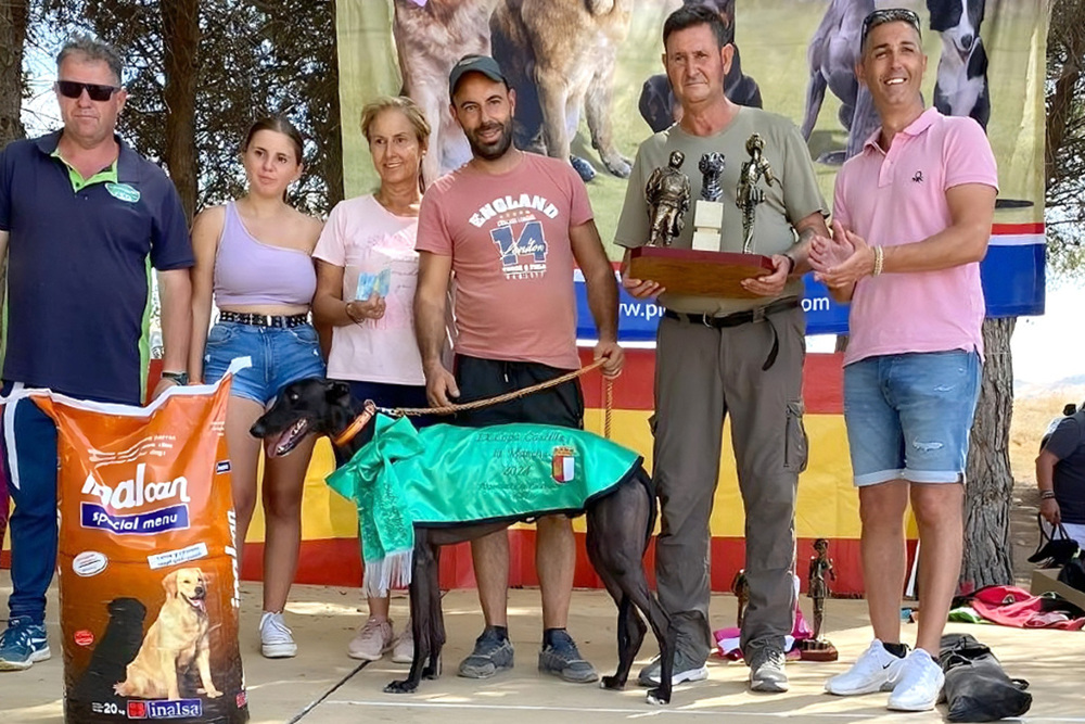 Más de 130 galgos en una competición en Argamasilla