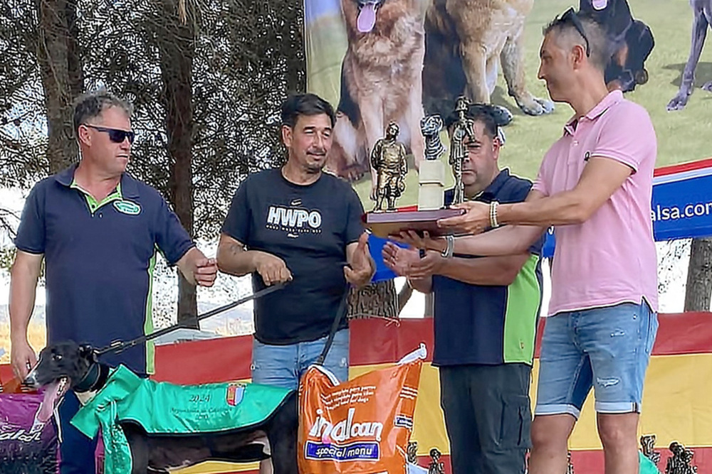 Más de 130 galgos en una competición en Argamasilla