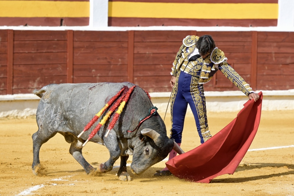 Curro Díaz perdió el triunfo por la espada. 