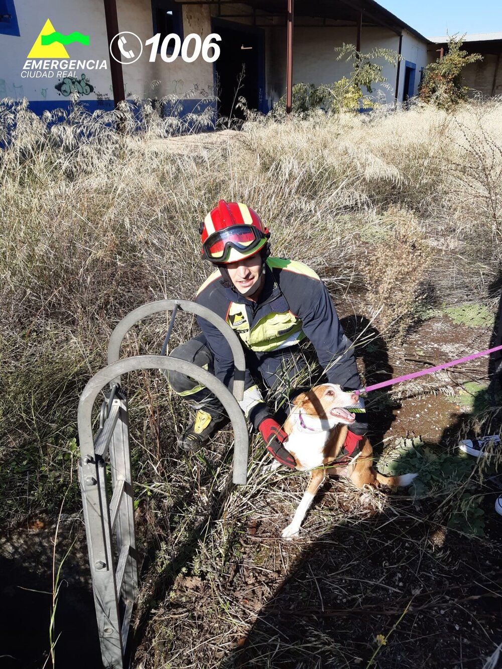 Bomberos de Valdepeñas rescatan a un perro de un pozo