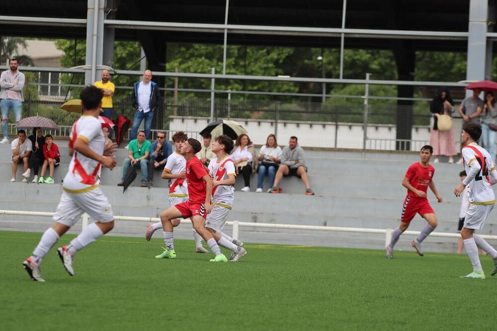 Torneo Nacional de Fútbol Base