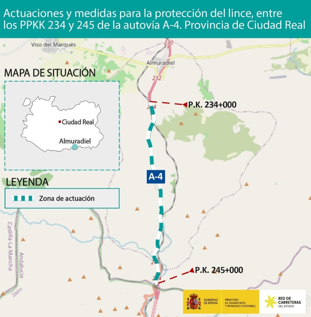 Inversión millonaria en la A4 para evitar atropellos de linces