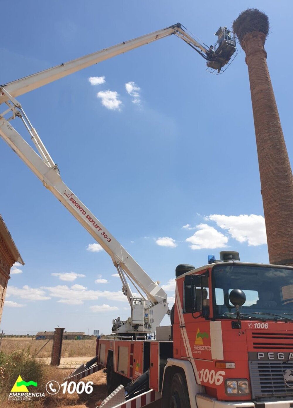 El SCIS colabora con la UCLM en el anillado de cigüeñas