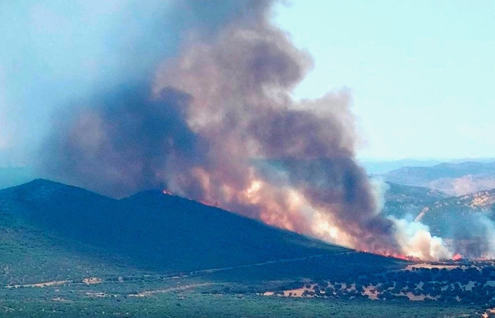 Más de cien personas intervienen en un incendio en Argamasilla