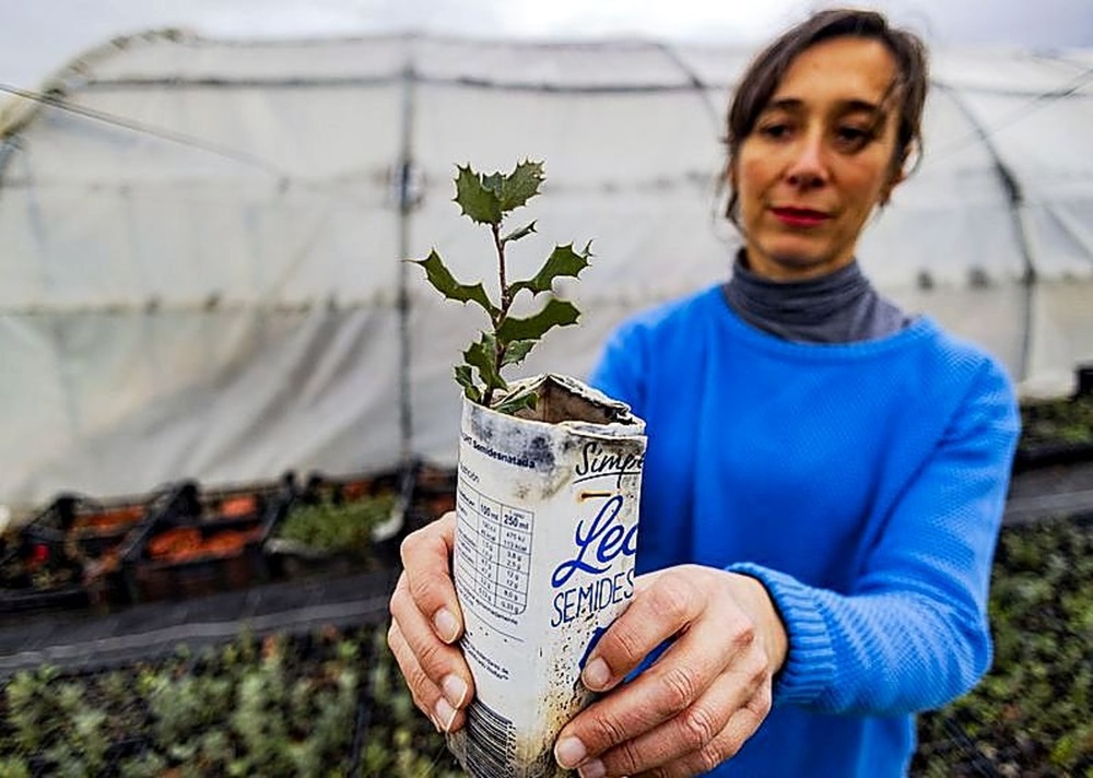 Reforestación de una zona emblemática