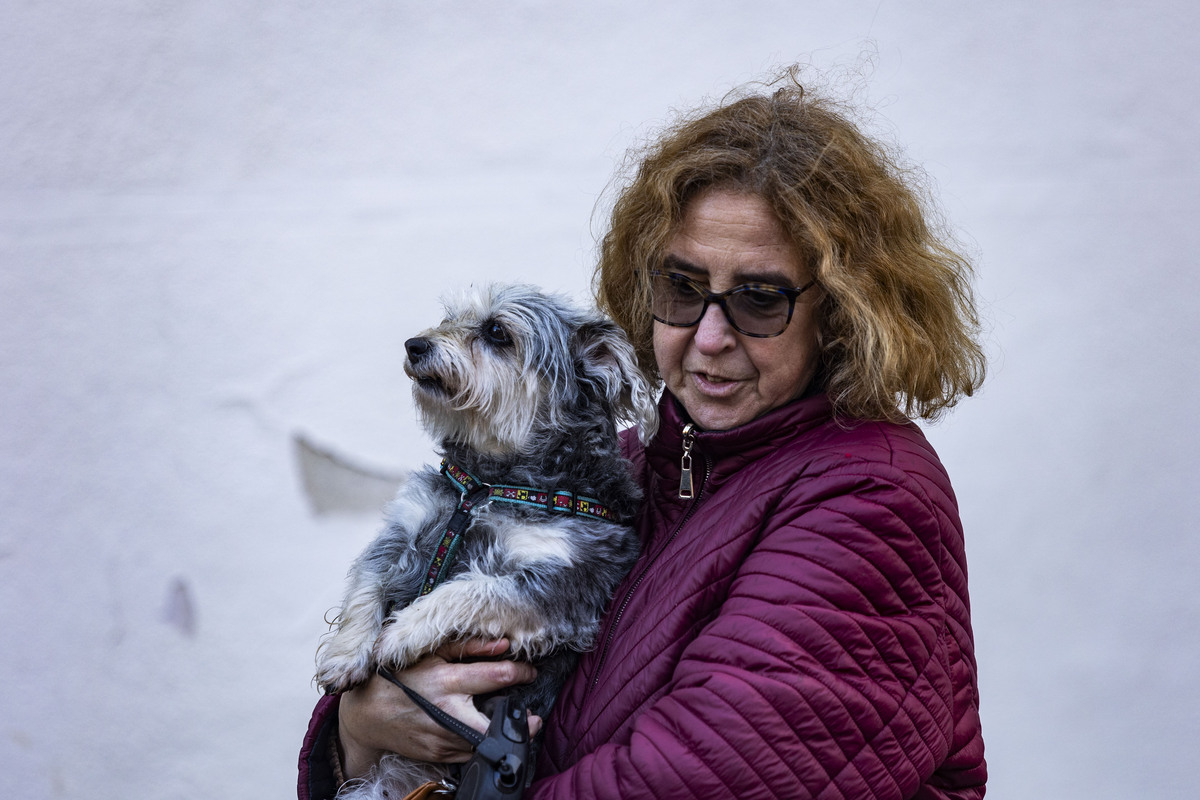 San Antón , bendición de animales en la iglesia de Sanatiago  / RUEDA VILLAVERDE