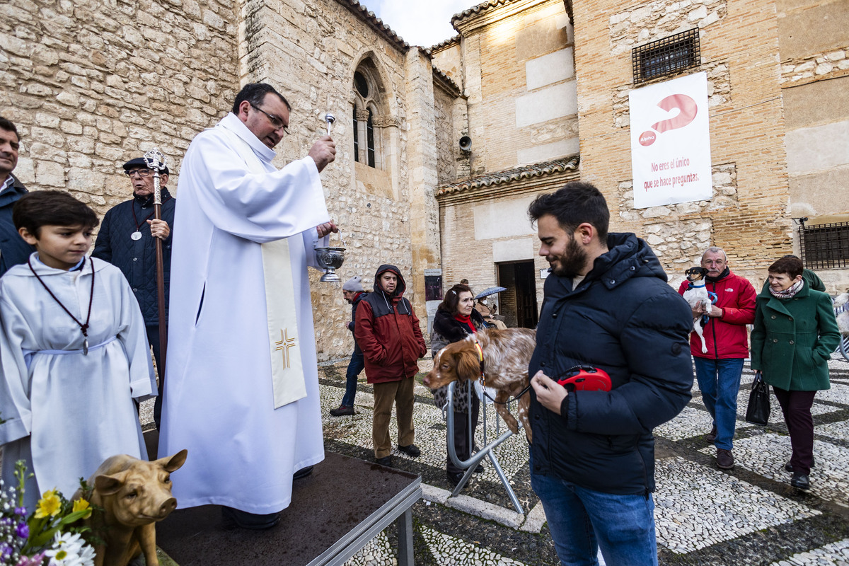 San Antón , bendición de animales en la iglesia de Sanatiago  / RUEDA VILLAVERDE