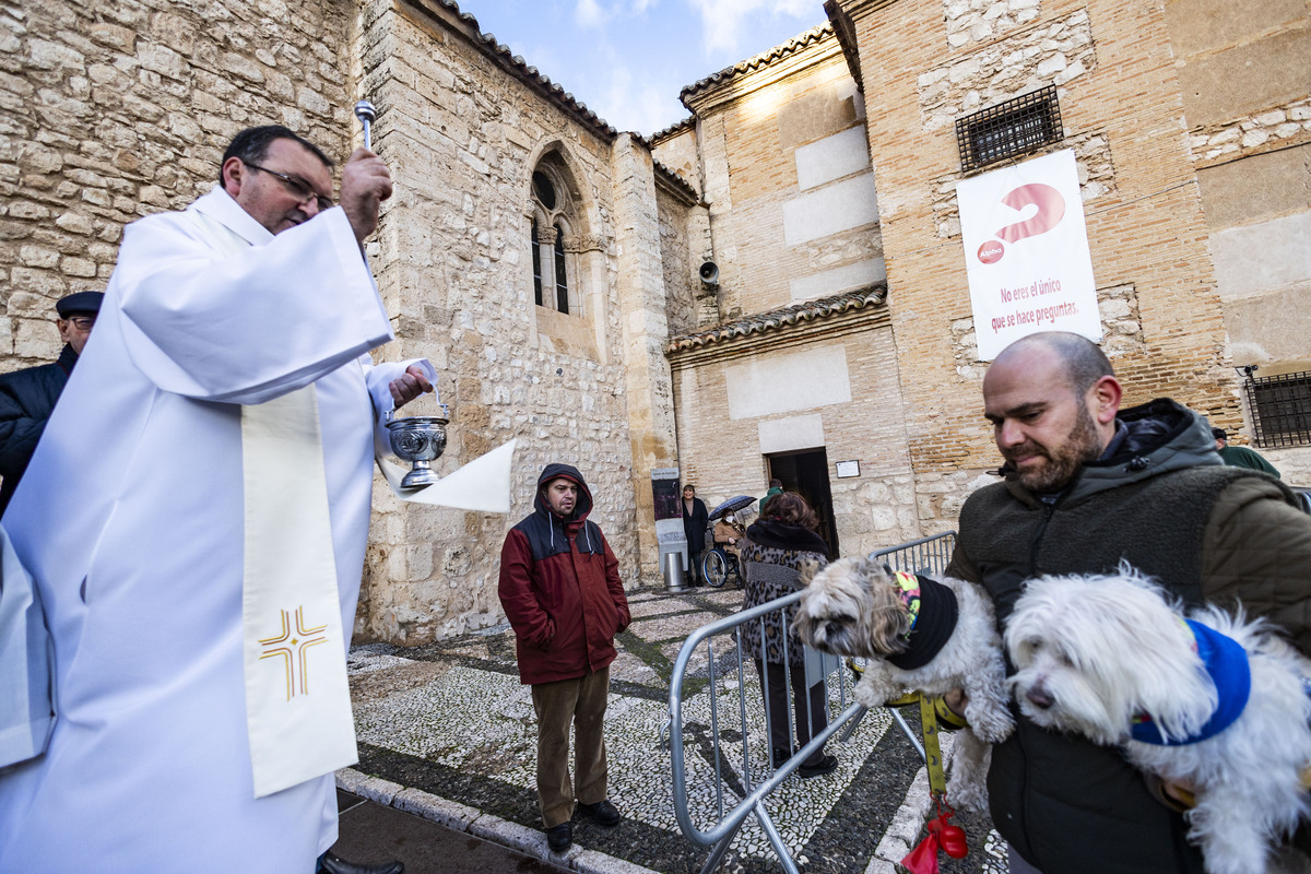 San Antón , bendición de animales en la iglesia de Sanatiago  / RUEDA VILLAVERDE