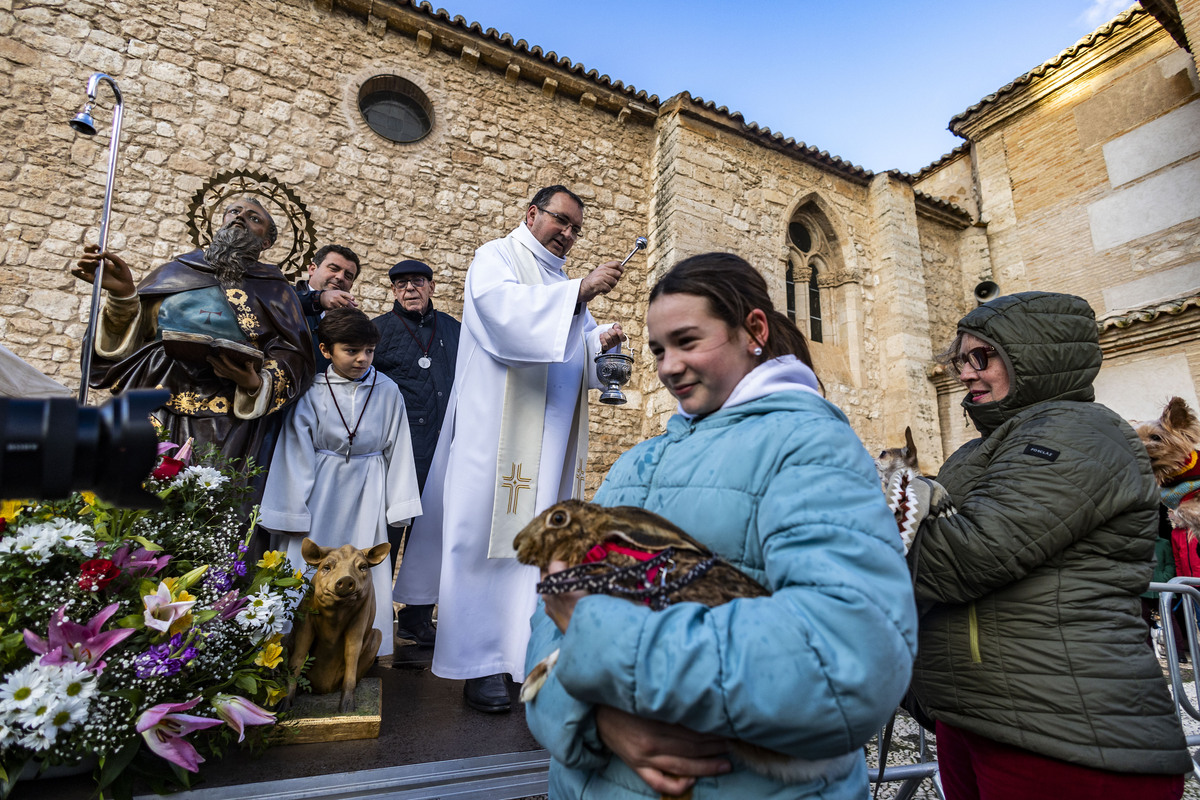 San Antón , bendición de animales en la iglesia de Sanatiago  / RUEDA VILLAVERDE