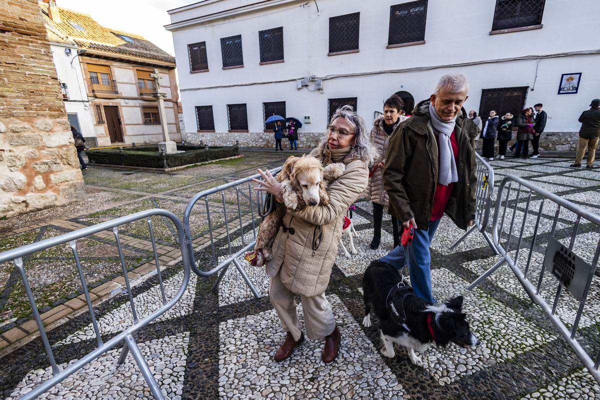 San Antón , bendición de animales en la iglesia de Sanatiago  / RUEDA VILLAVERDE