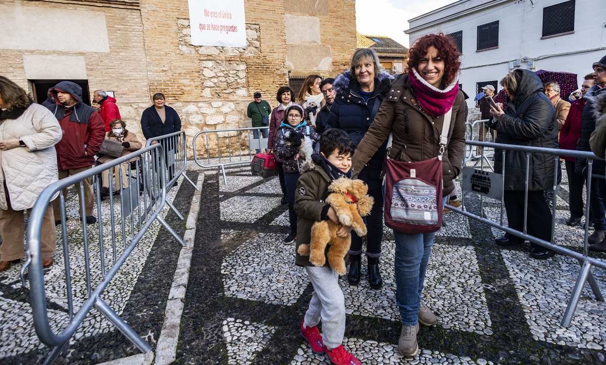 San Antón , bendición de animales en la iglesia de Sanatiago  / RUEDA VILLAVERDE