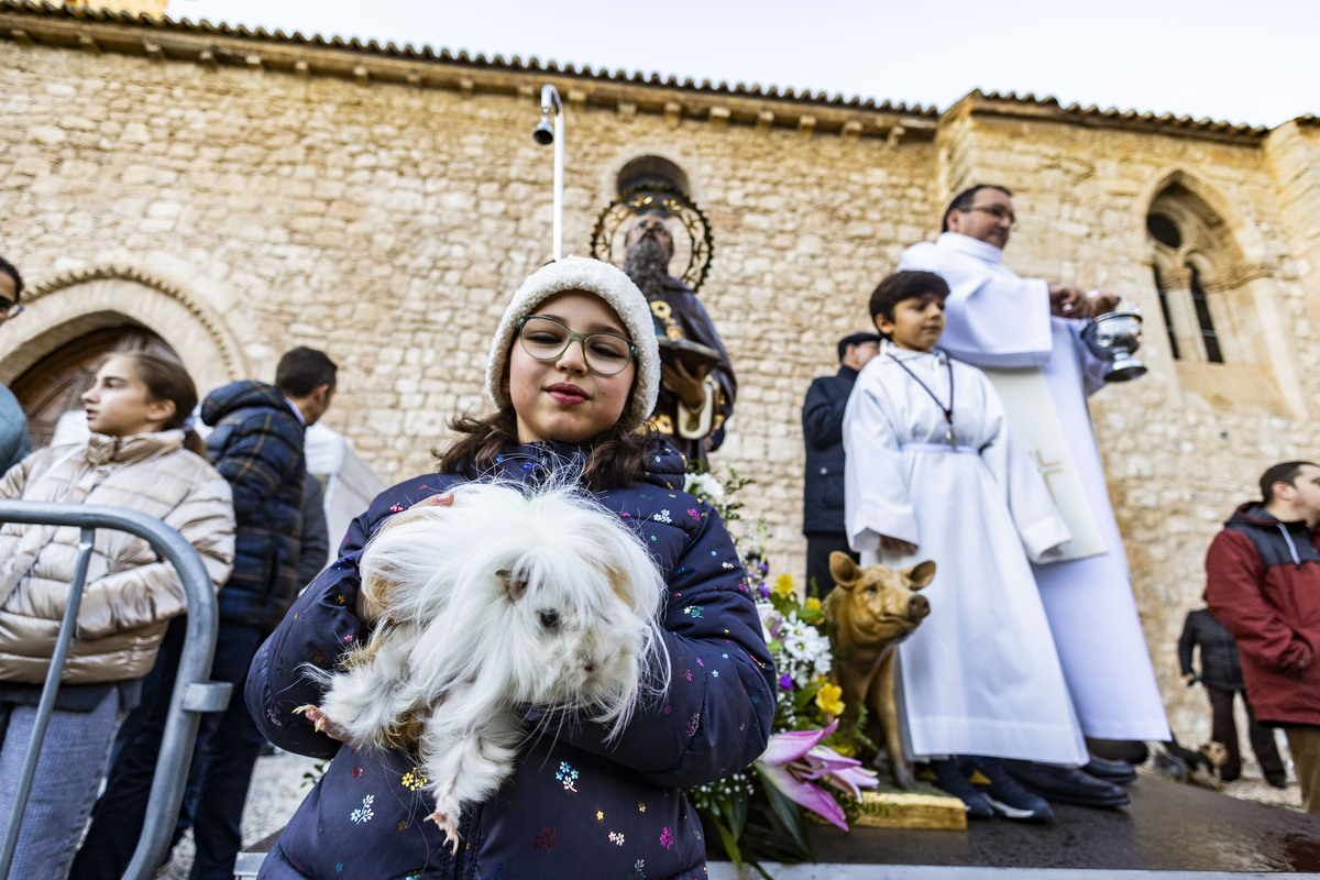 San Antón , bendición de animales en la iglesia de Sanatiago  / RUEDA VILLAVERDE