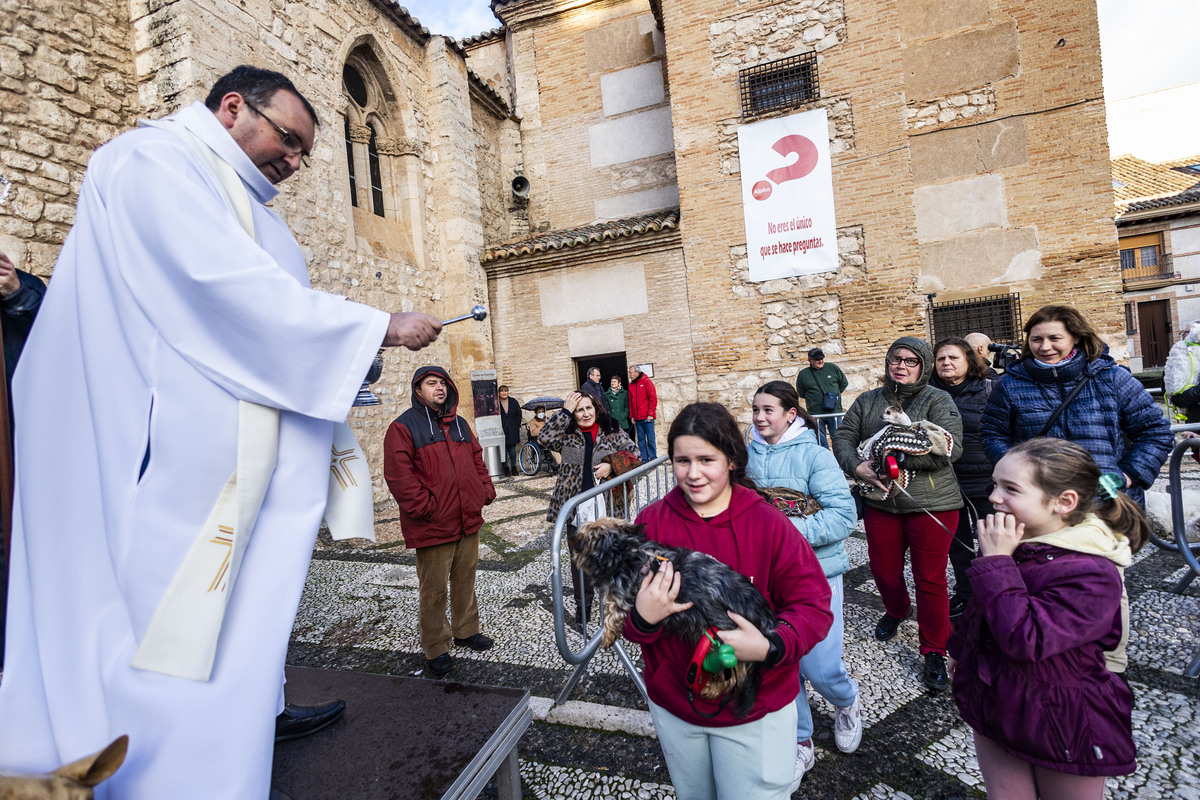 San Antón , bendición de animales en la iglesia de Sanatiago  / RUEDA VILLAVERDE