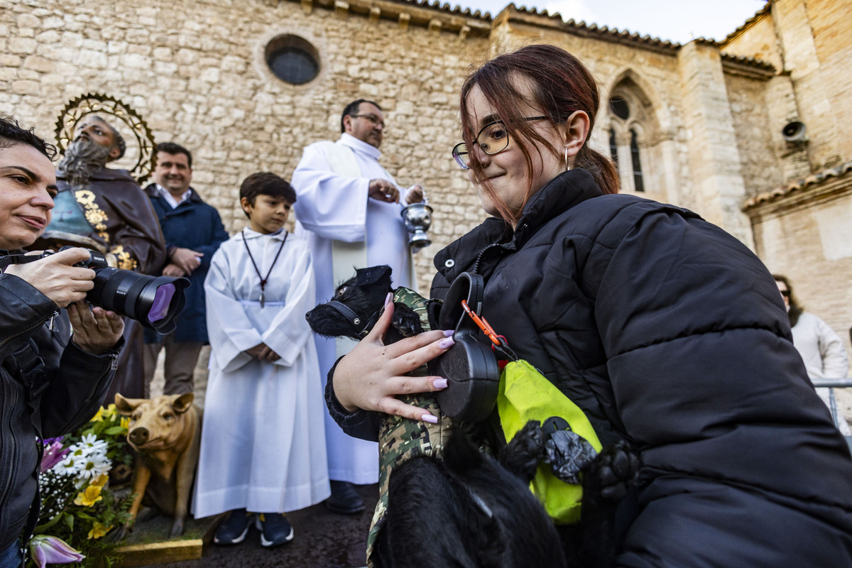 San Antón , bendición de animales en la iglesia de Sanatiago  / RUEDA VILLAVERDE