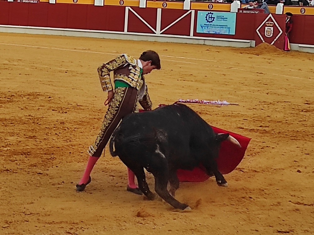 Novillos y coletas brindaron una preciosa tarde en Almagro