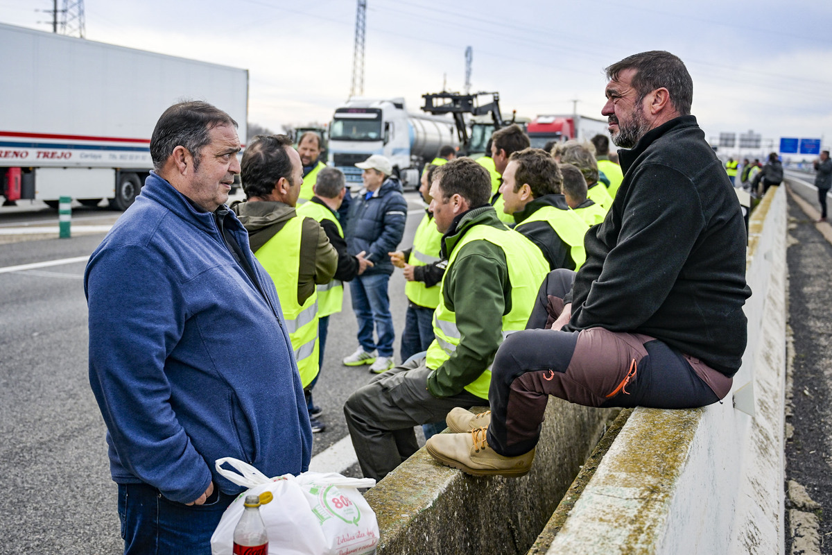 06/02/2024.- AGRICULTORES PROTESTAS.- Manzanares (Ciudad Real).- Cientos de agricultores han cortado con sus tractores la autovía A4 en ambas direcciones a la altura de Manzanares (Ciudad Real). EFE/Jesús Monroy  / JESÚS MONROY