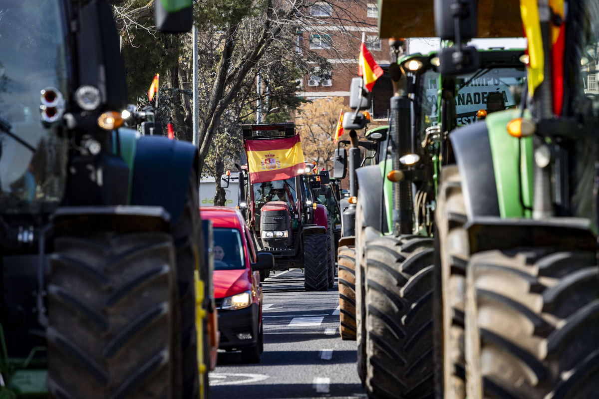 manifestaciuón de agricultores en ciudad real con sus tractores, protesta en tractores de los agricultores por ciudad real, tractorada de los agricultores   / RUEDA VILLAVERDE