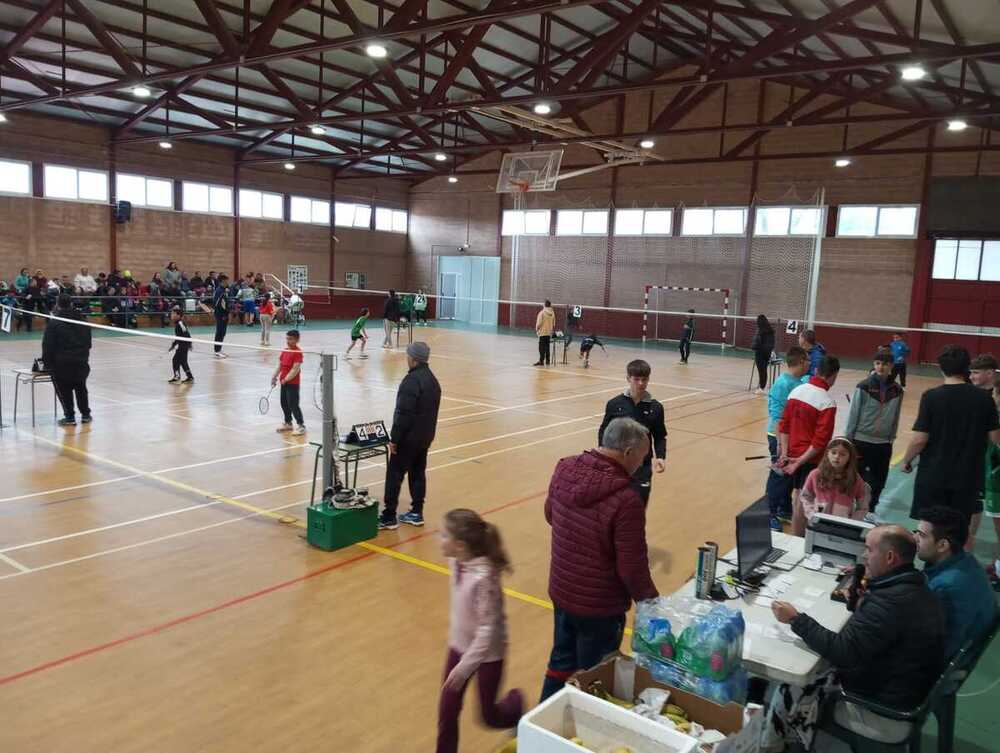 La zona oeste ya tiene finalistas en bádminton