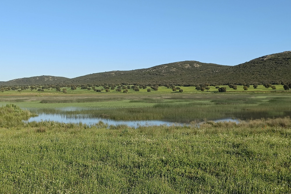 Las lagunas volcánicas del Campo deCalatrava se llenan de agua