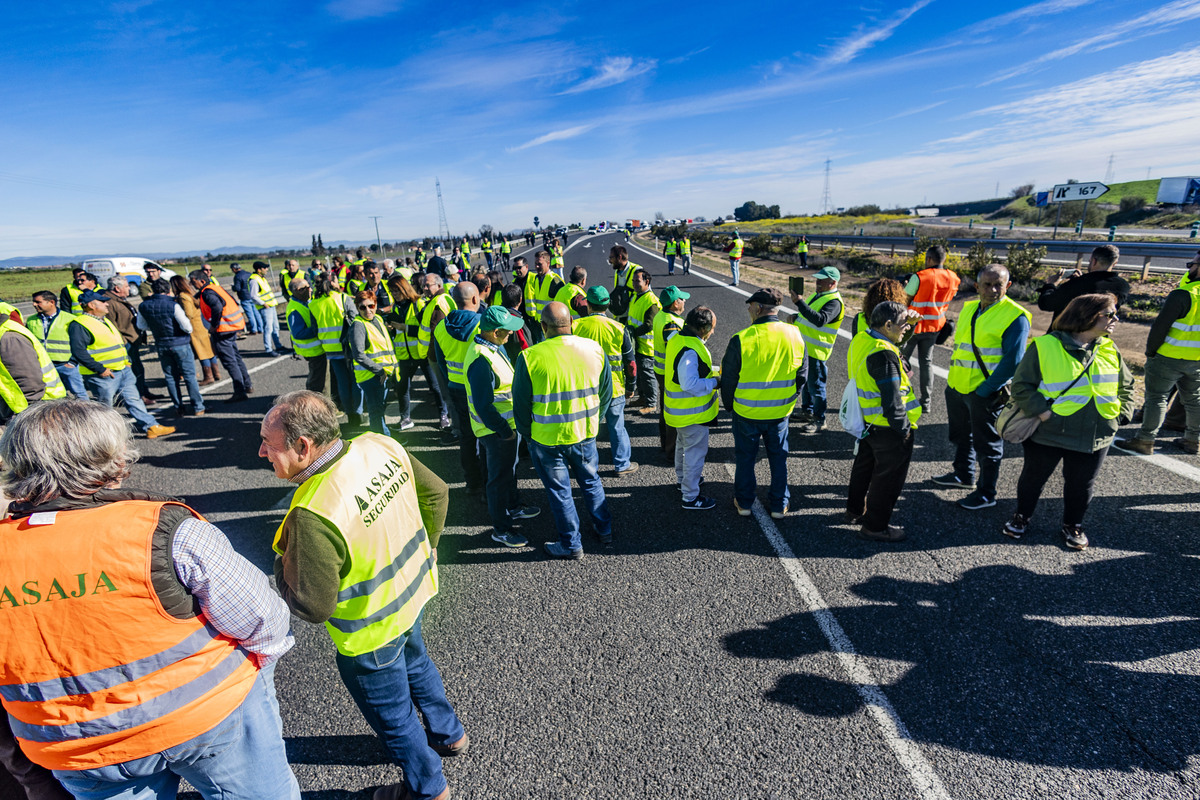 protesta de los agricultores, cortando la autovía Ciudad Real Puertollano, policía nacional, corte del tráfico de la A 41 autovía de Puertollano por los agricultores, asaja  / RUEDA VILLAVERDE