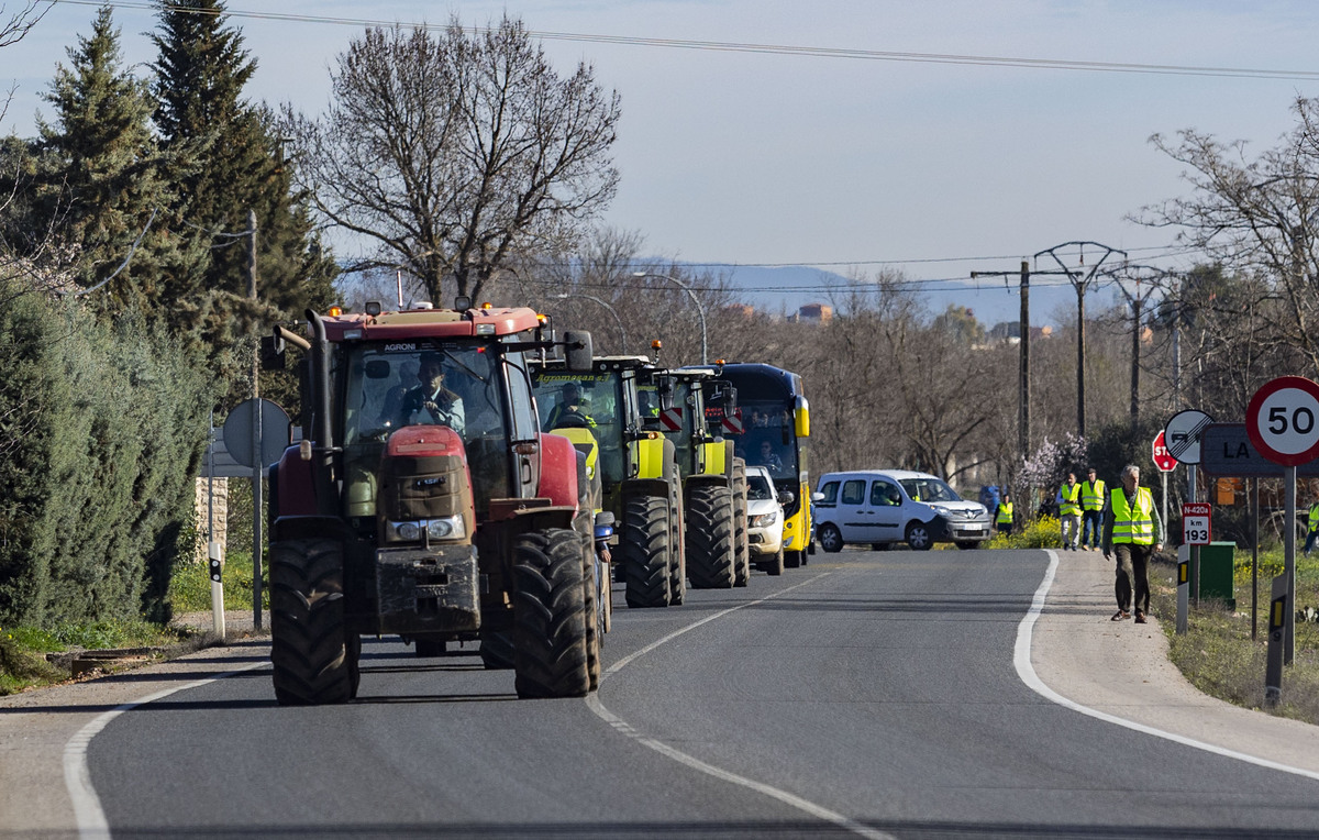 protesta de los agricultores, cortando la autovía Ciudad Real Puertollano, policía nacional, corte del tráfico de la A 41 autovía de Puertollano por los agricultores, asaja  / RUEDA VILLAVERDE