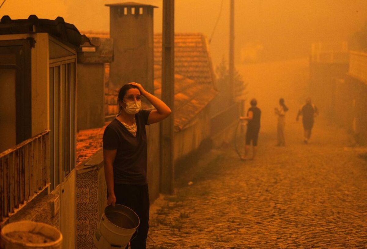 Forest fire in Portugal  / JOSE COELHO