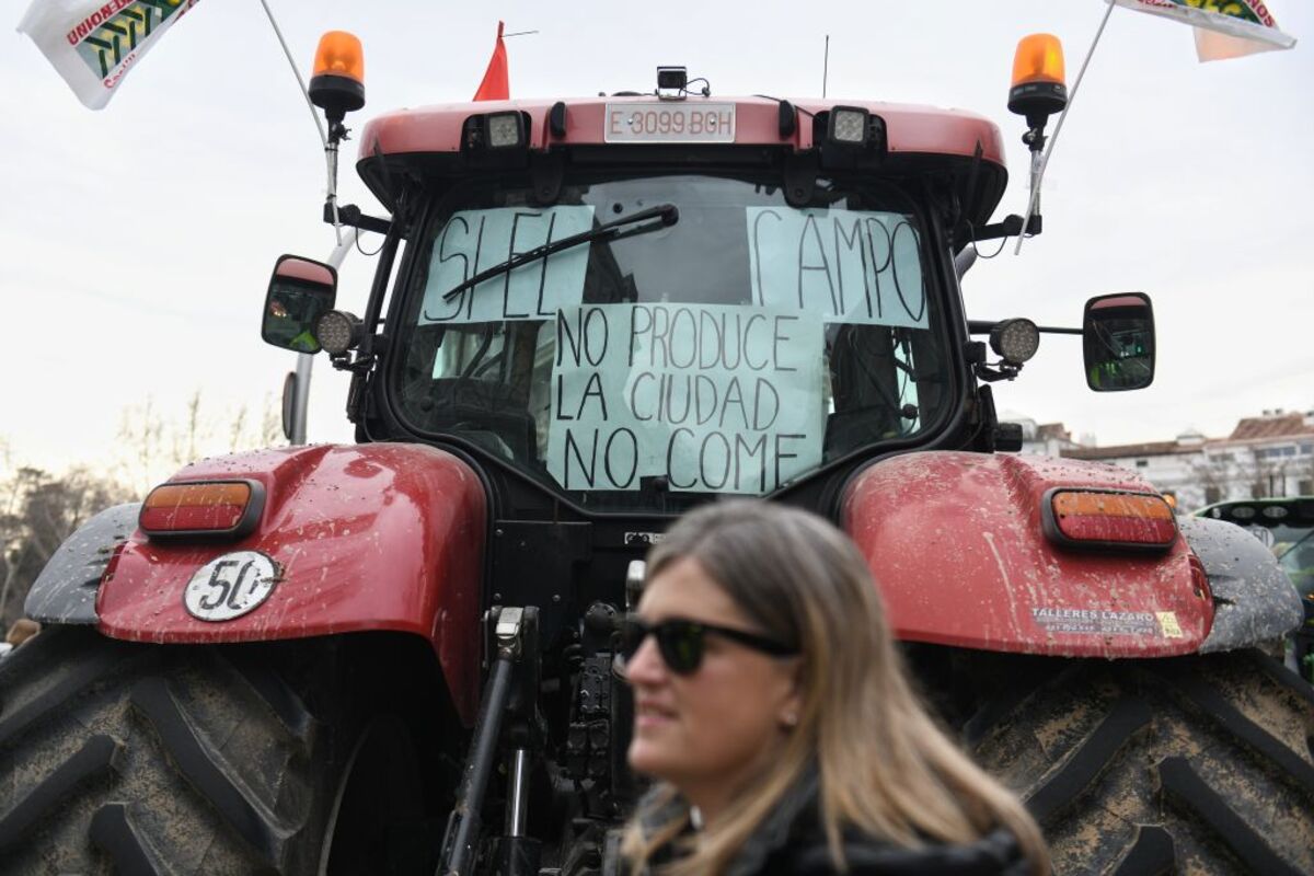 Décimosexta jornada de protestas de los tractores en las carreteras españolas para pedir mejoras en el sector  / FERNANDO SÁNCHEZ