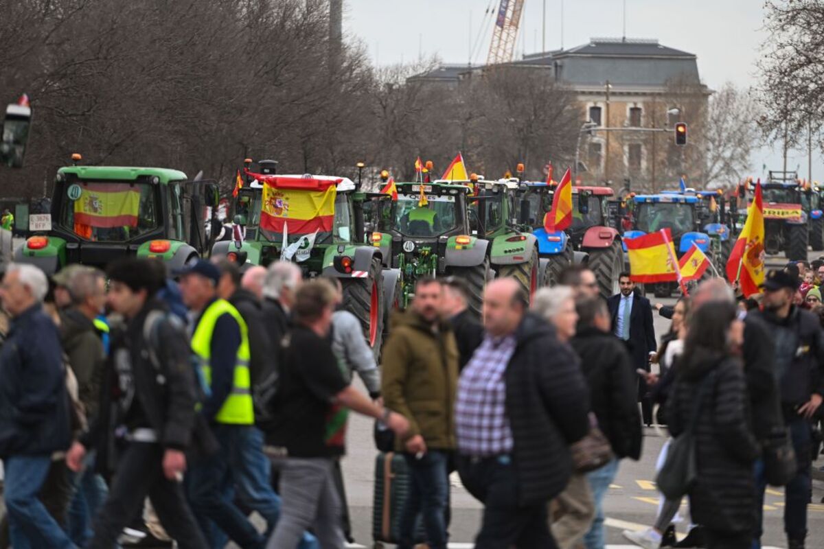 Protestas de los agricultores en Madrid  / FERNANDO VILLAR