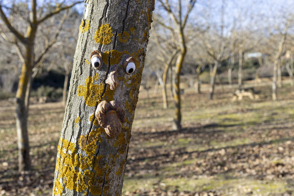 El bosque mágico creado por Javier en Quer