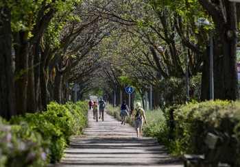 Destinan cerca de 275.000 euros a la mejora de la vía verde